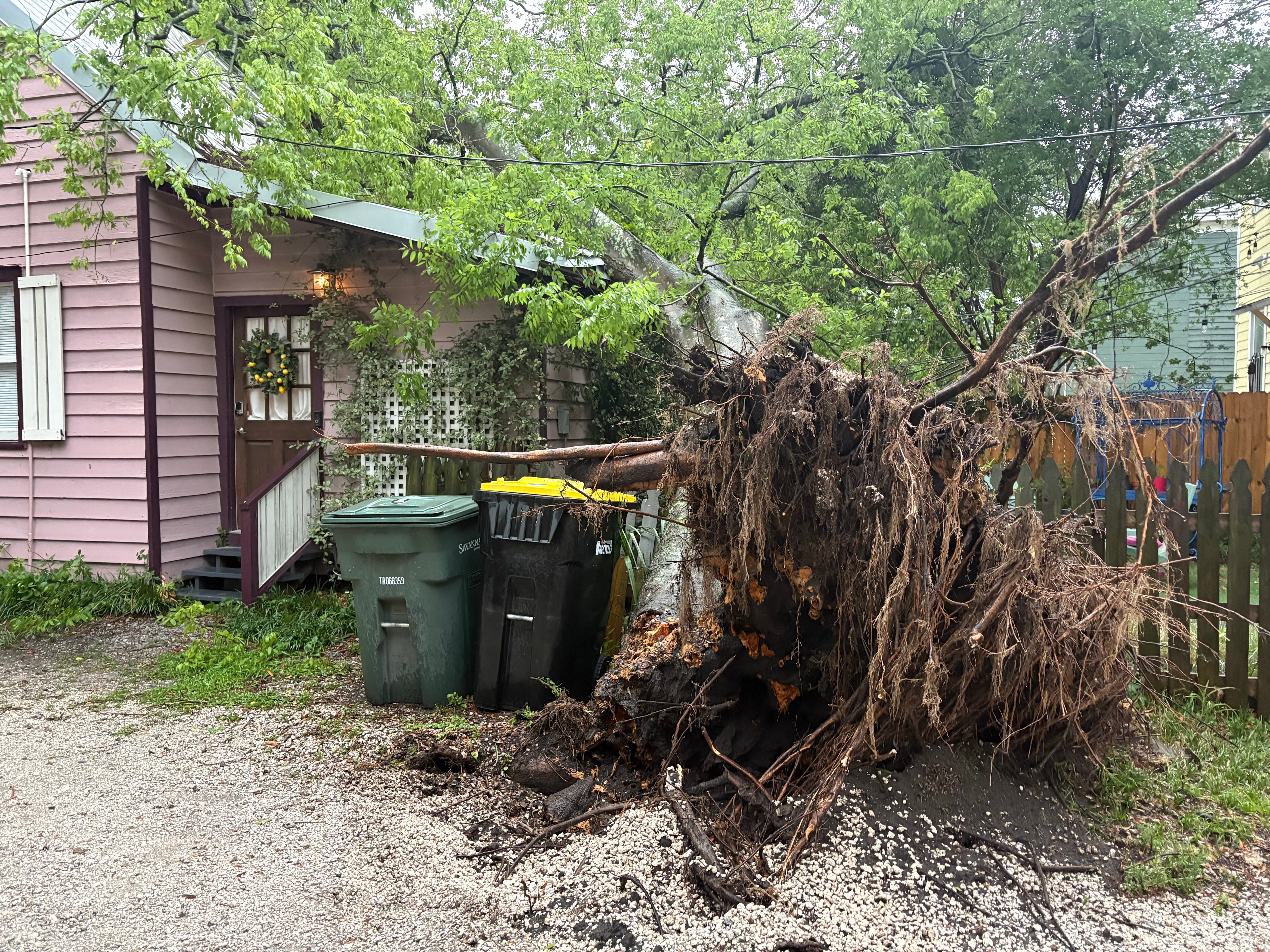 Tree falls on roof during storms in downtown Savannah