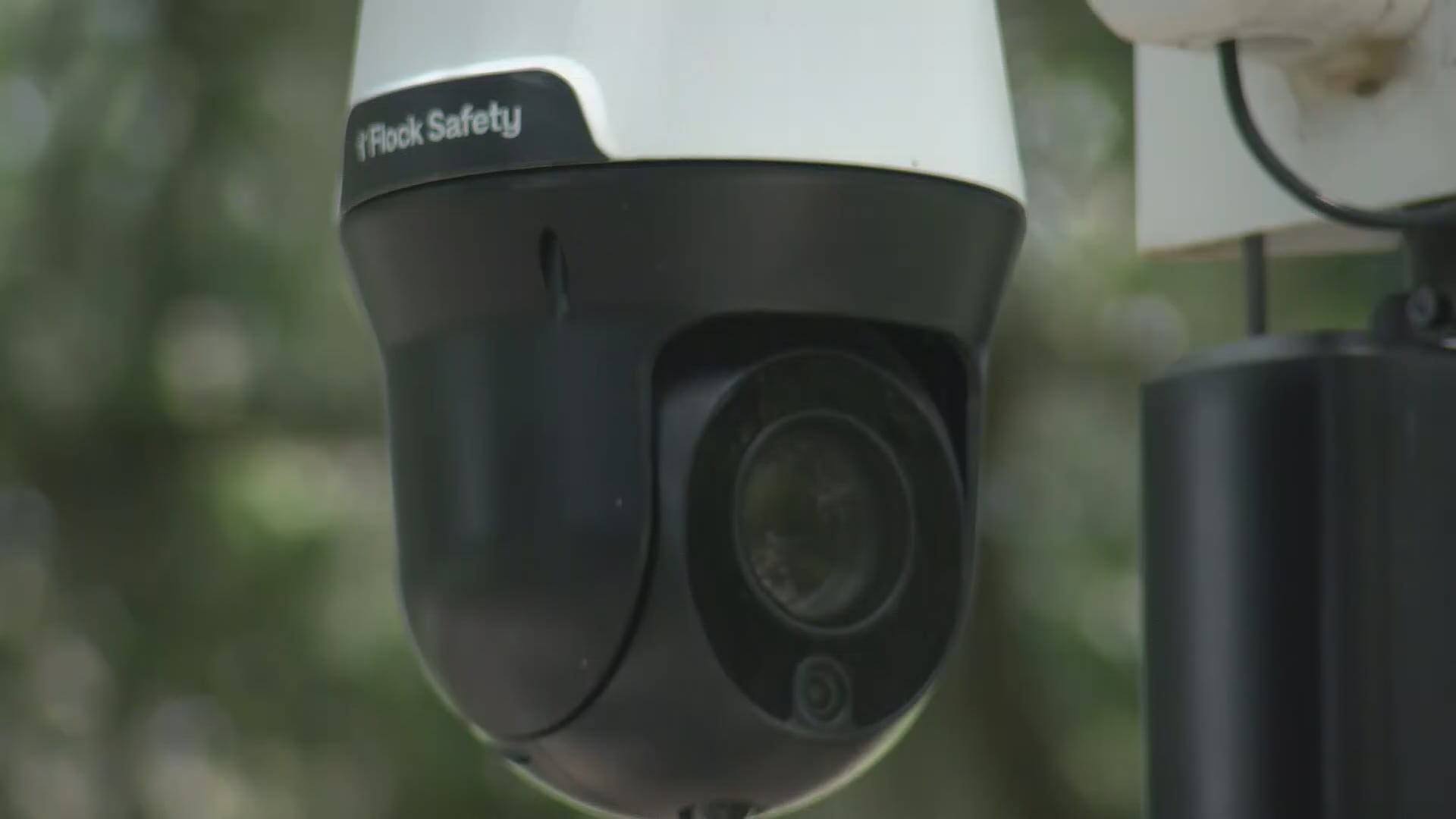 Savannah Police Officer Fired for Sharing Flock System Login With ICE Agent Husband