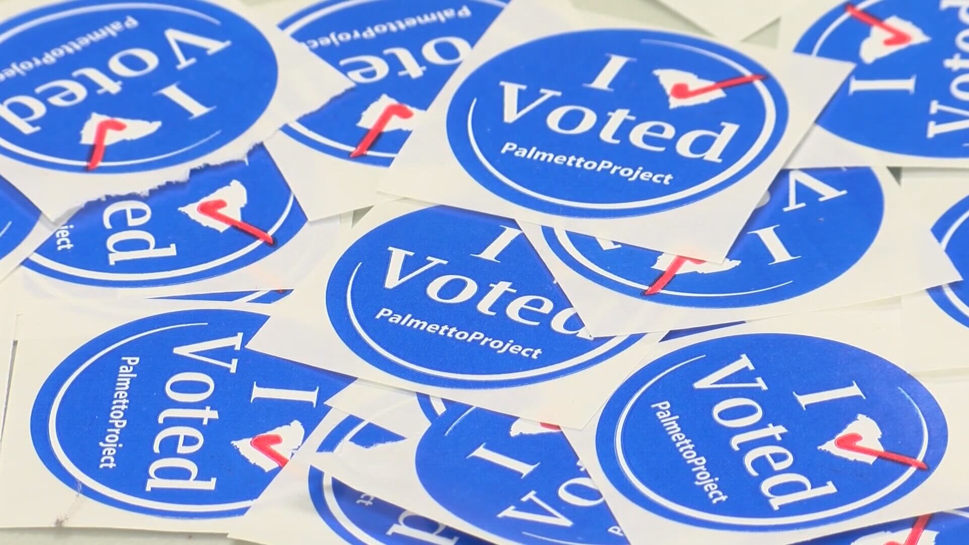 Tuesday is Election Day for the SC Republican Senate primary