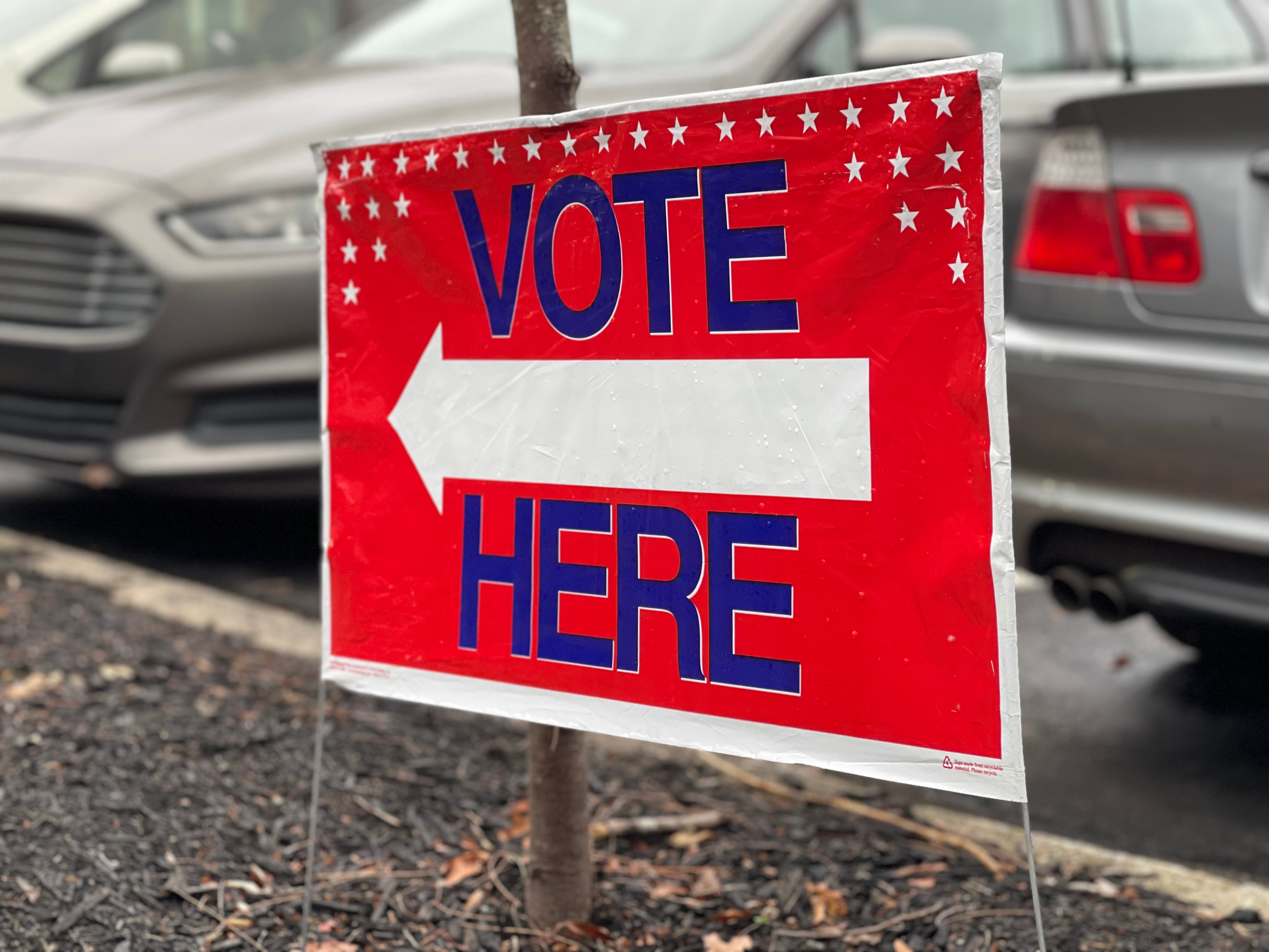 Georgia election board divided over letters seeking federal help with voting systems