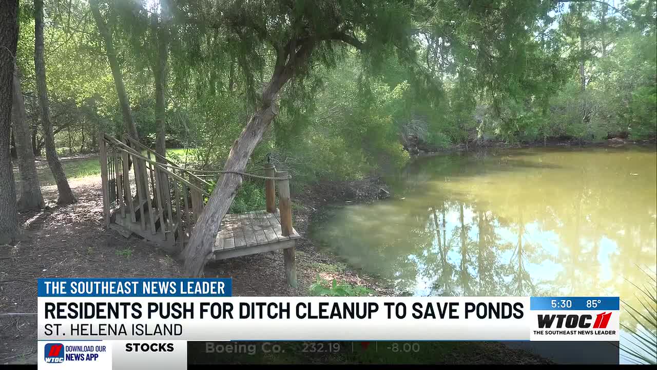 ‘Loaded’ pond becomes a graveyard: St. Helena Island neighbors demand action from SCDOT