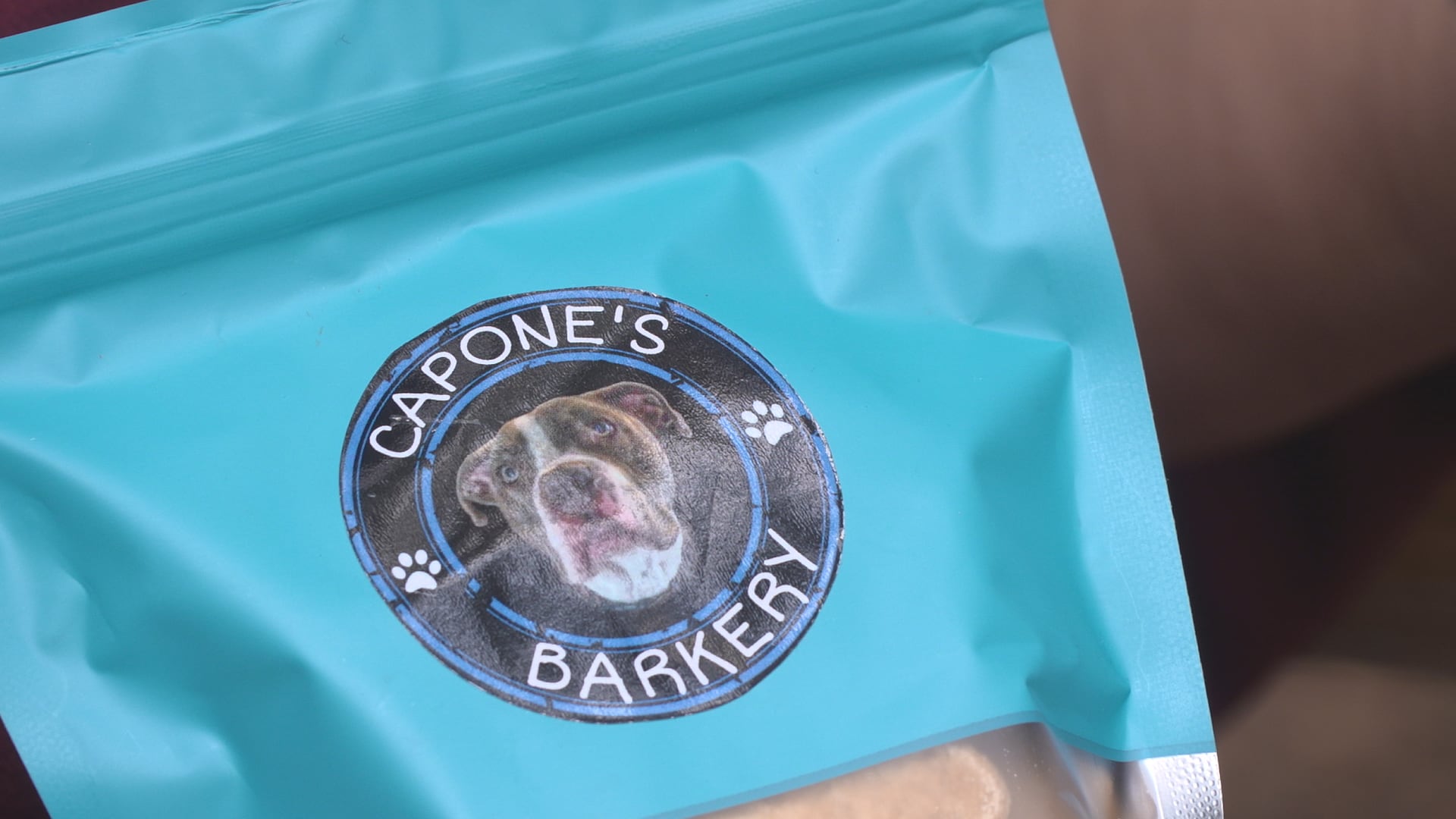 A dog’s love lives forever: How a new nonprofit aims to help other families cover canine cancer treatment costs