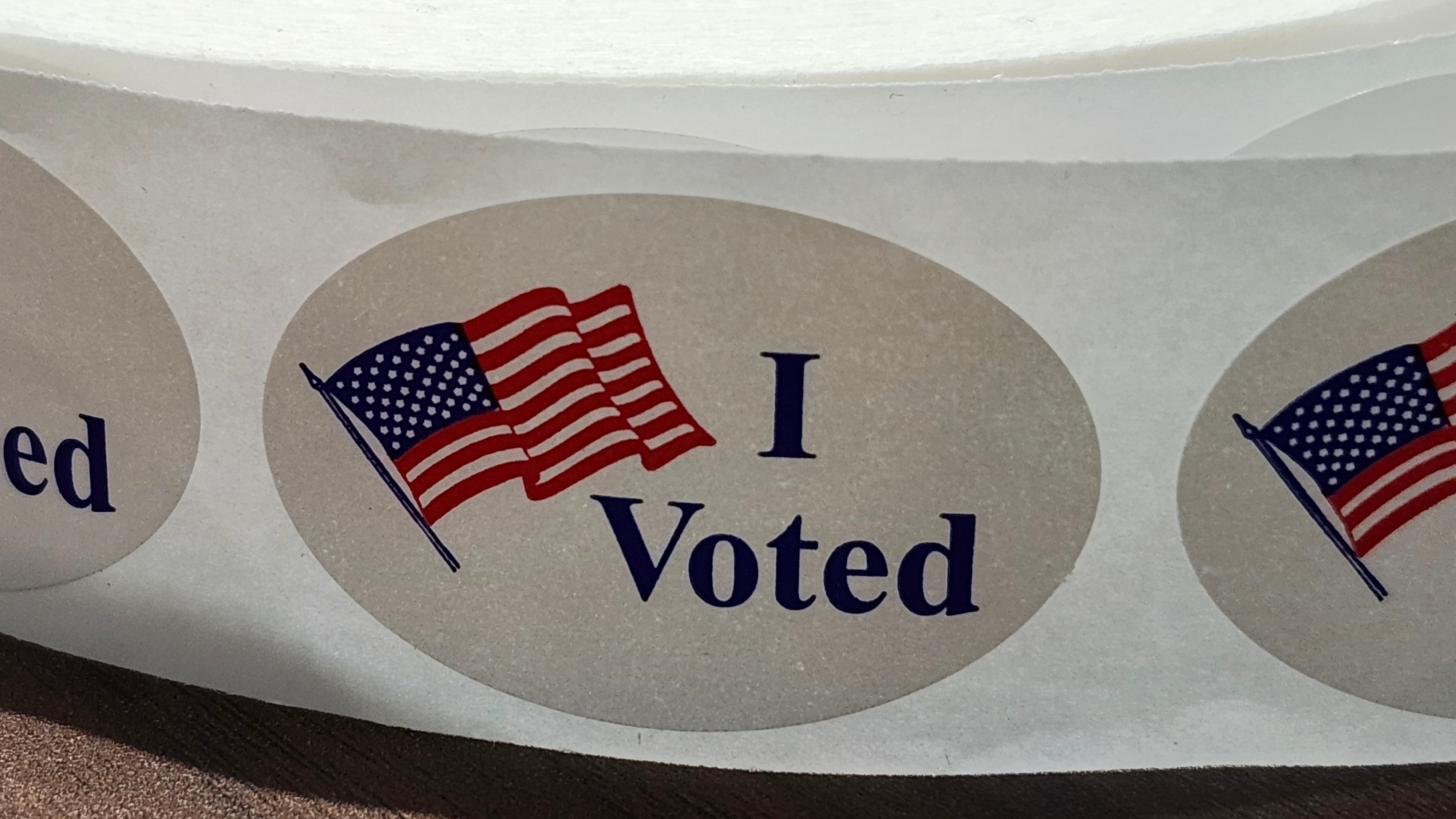 Graham, Norman advance to runoff in SC Senate Special primary