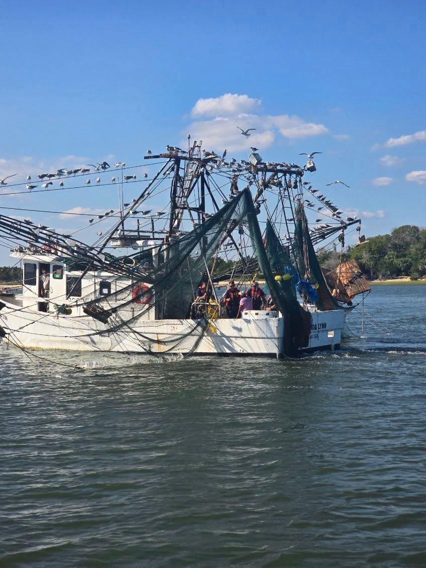 Coast Guard Boarding Leads to Custody Transfer at Sea