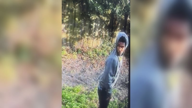 SPD looking for individual in connection to burglary in the 8000 block of Abercorn St.