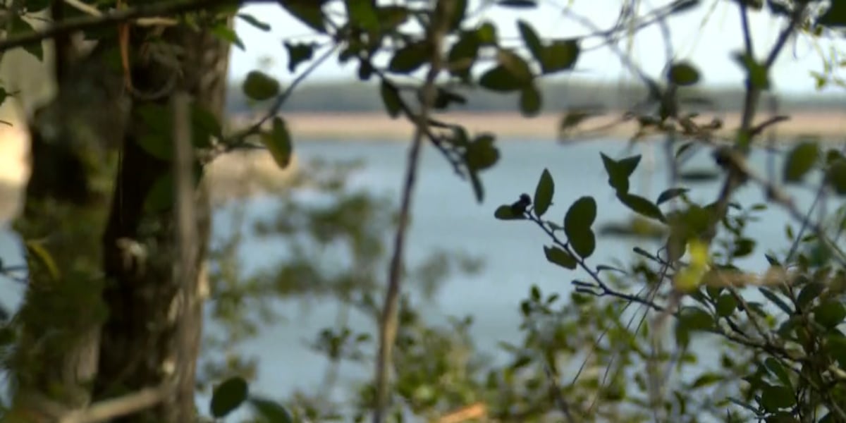 New South Carolina law offers property tax relief for families dealing with heirs’ property
