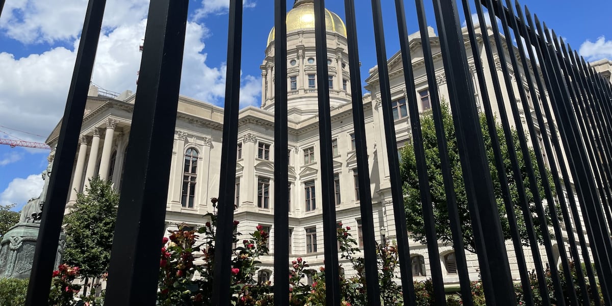 Economic impacts of government shutdown in Georgia, South Carolina detailed in new reports
