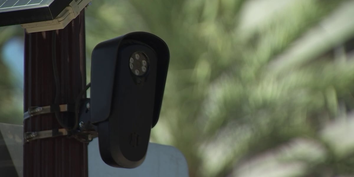 Georgia police officers fired after Flock camera misuse