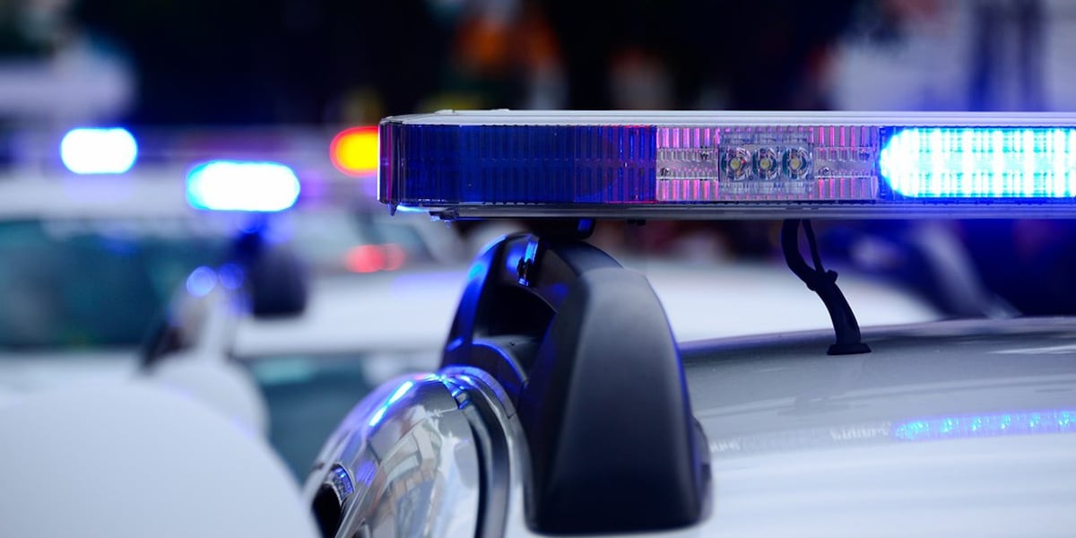 1 taken into custody related to string of armed robberies in Evans Co.