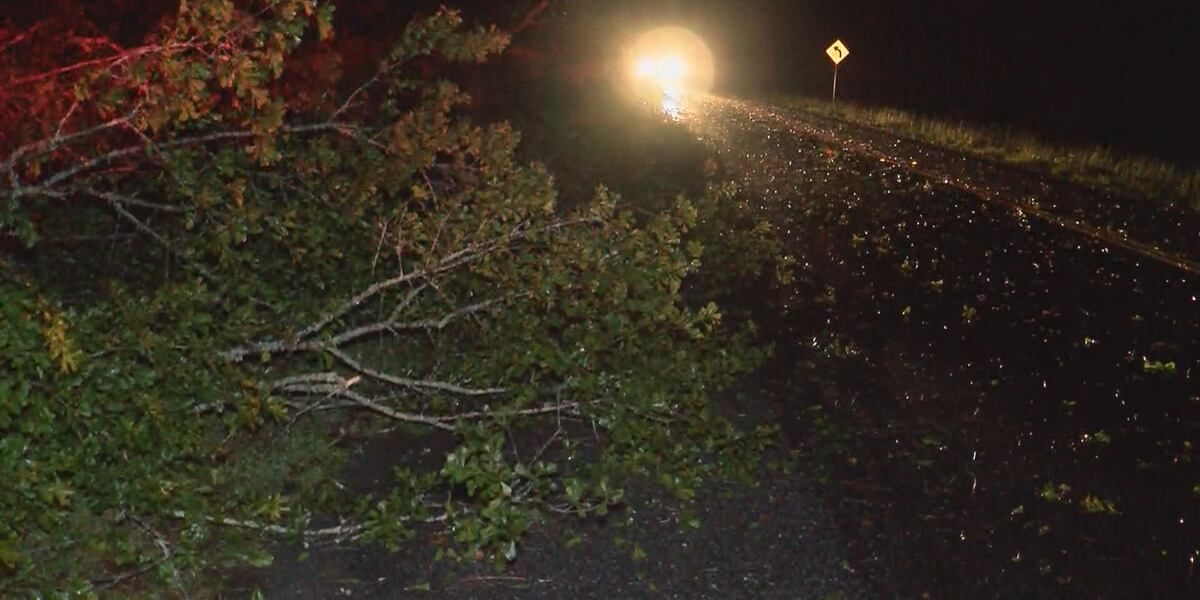 Debris Pickup Schedule For Storm Damage In Guyton debris-pickup-schedule-for-storm-damage-in-guyton