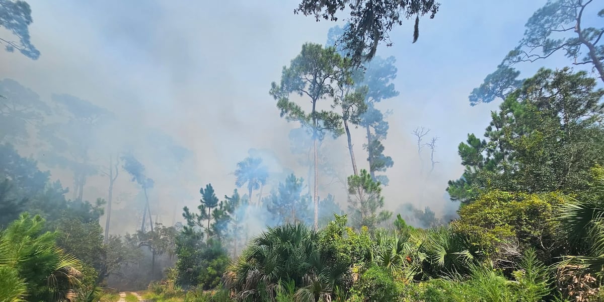 Wassaw National Wildlife Refuge wildfire remains active