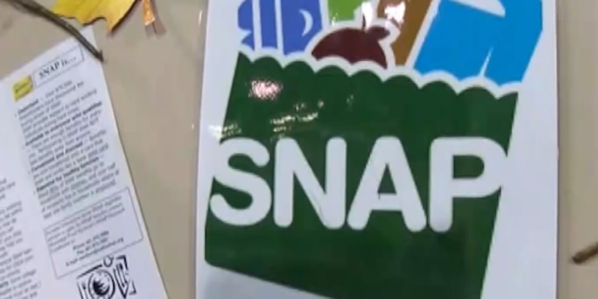 Disaster SNAP benefits brings temporary relief to those impacted by ...