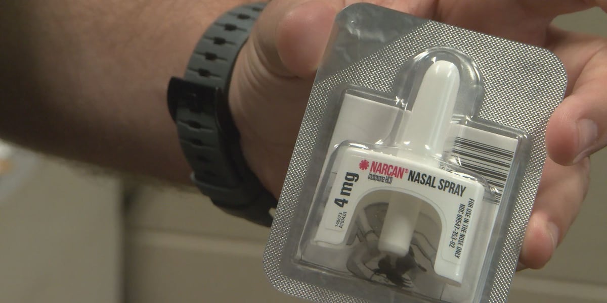 $2.2 million grant set to help Georgia Southern researchers fight opioid epidemic