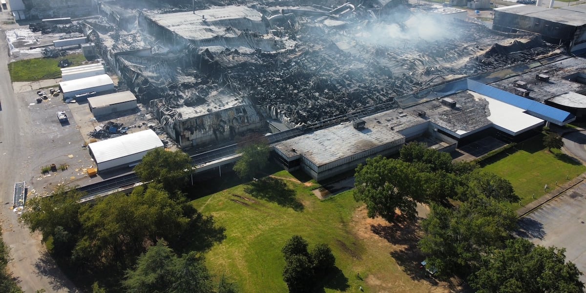 Next steps for displaced employees of MLily factory fire