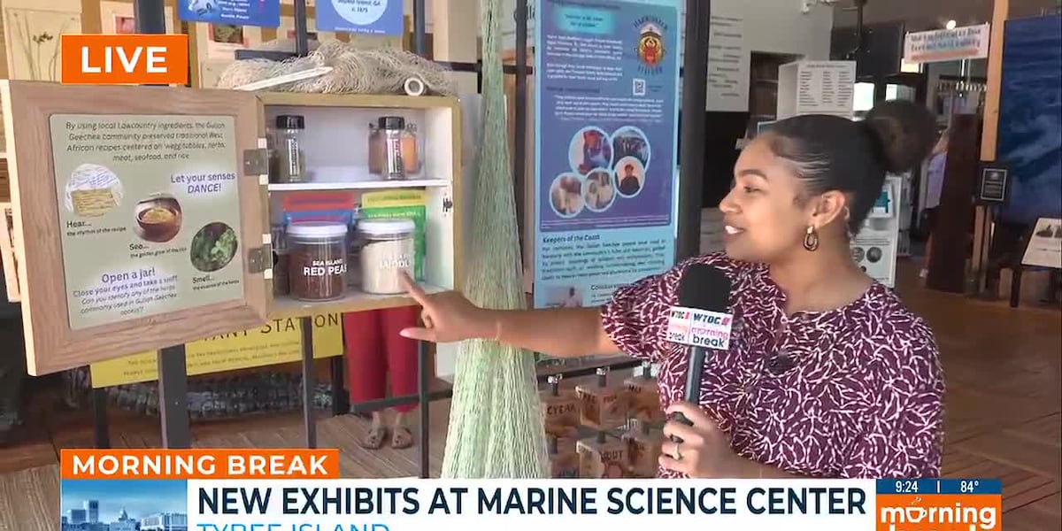 Go inside the Tybee Island Marine Science Center's new summer exhibits