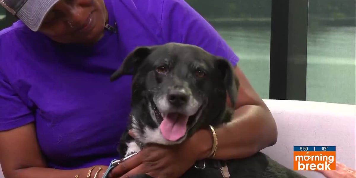 Rescue Me Friday: Meet Zoey