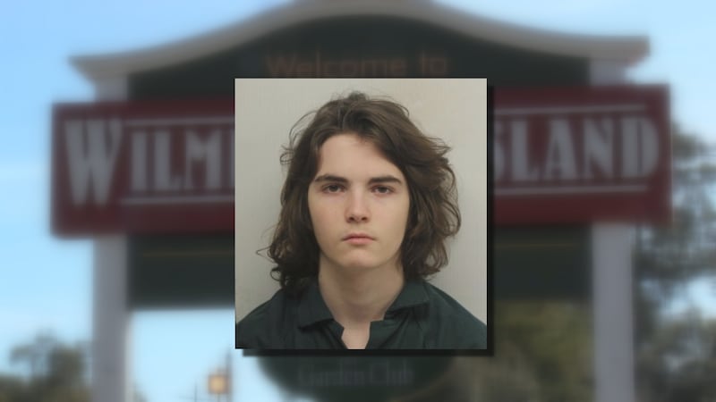 New details: Prosecutors recommend sentence for alleged Wilmington Island arsonist