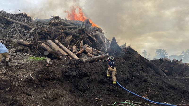 Timeber Fire Timber fire on Ogeechee Road extinguished