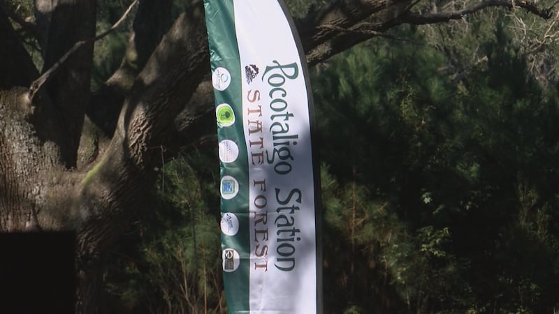 2,800-acre Pocotaligo Station State Forest designated in Lowcountry