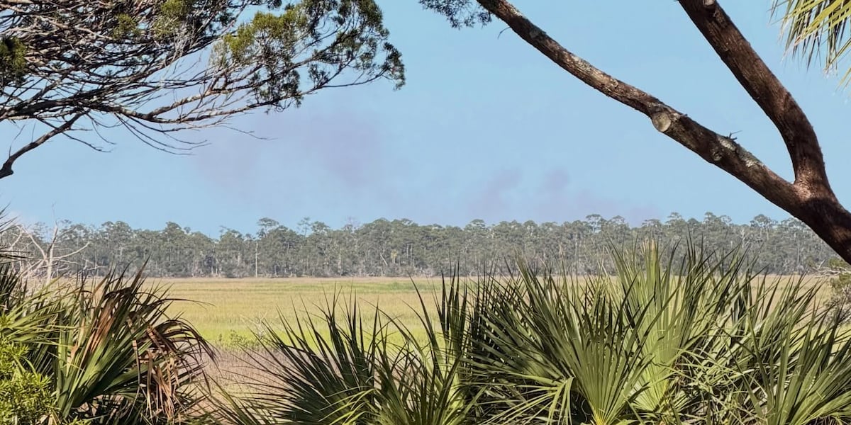 Large brush fire burning on Wassaw Island
