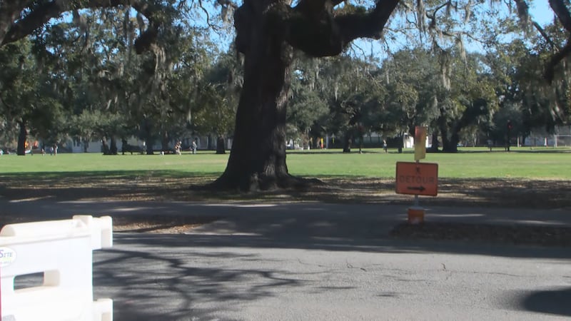 Community plans solidarity walk after Forsyth Park acid attack leaves victim with severe burns