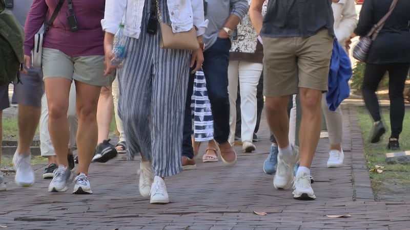 گردشگران در مرکز شهر ساوانا