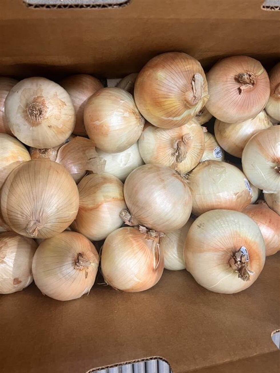 Georgia farmers face dual challenge of drought and winter freezes