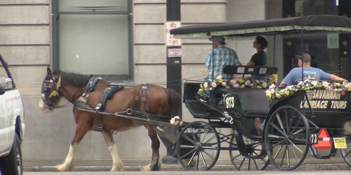 Savannah horse carriage protest, Alderman attack prompts Tourism Leadership Council statement