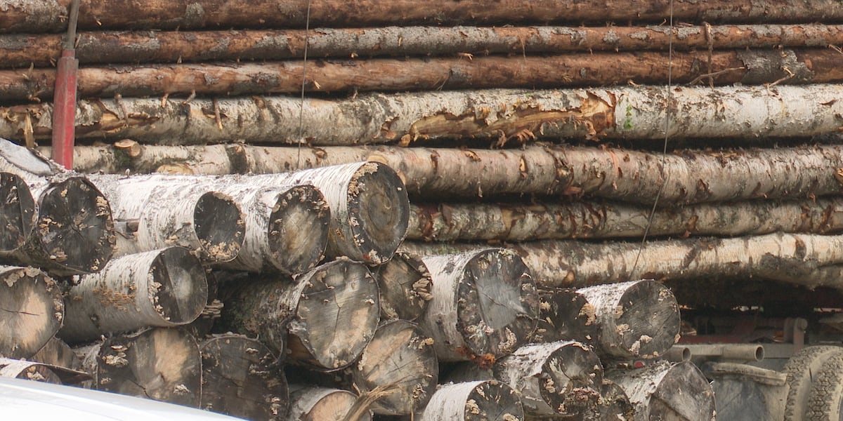 How International Paper’s mill closures are affecting the local logging industry