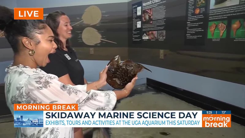 Skidaway Marine Science Day returns with free admission to UGA Aquarium
