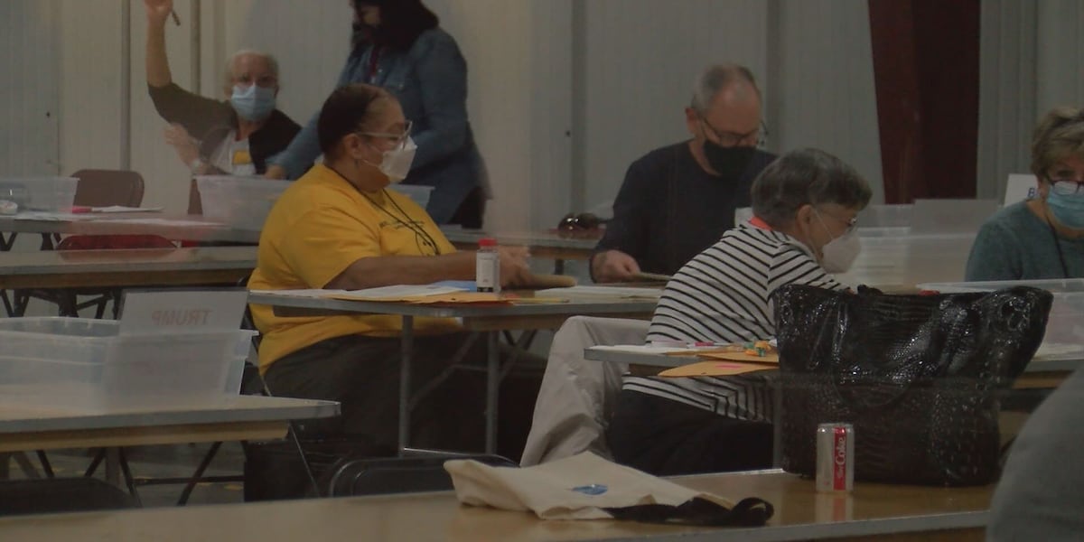 Hand Count Audit Hand-count audit continues in Chatham Co.