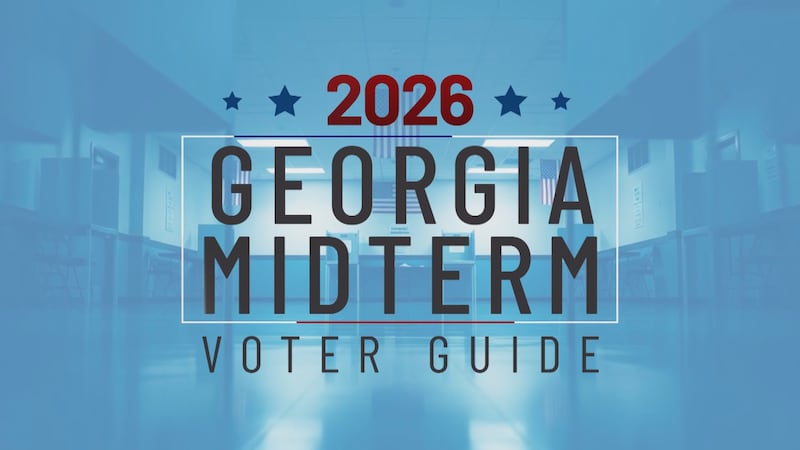 2026 Georgia voting guide