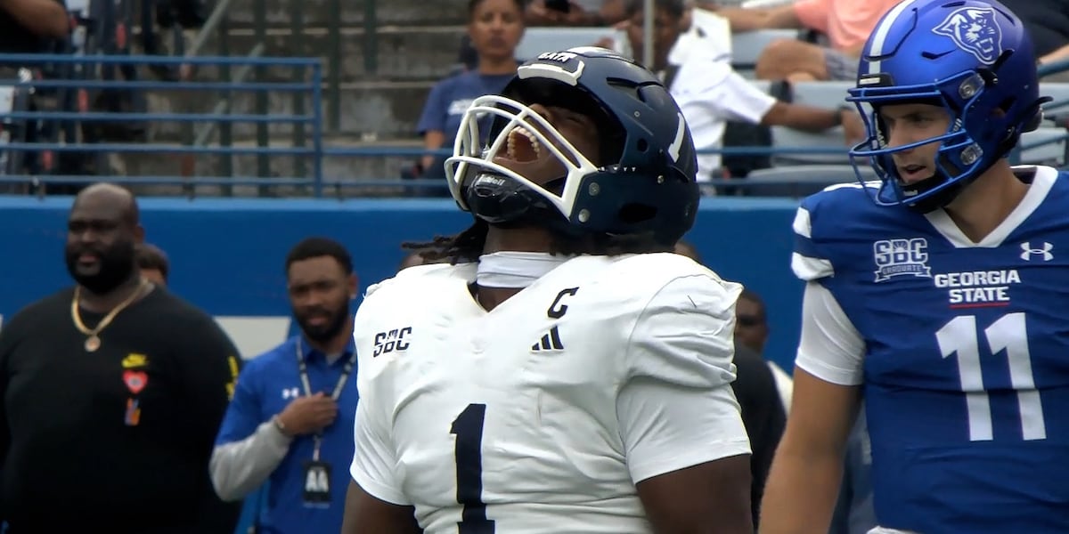 Georgia Southern lands 10 players on all-Sun Belt teams, Marques Watson ...