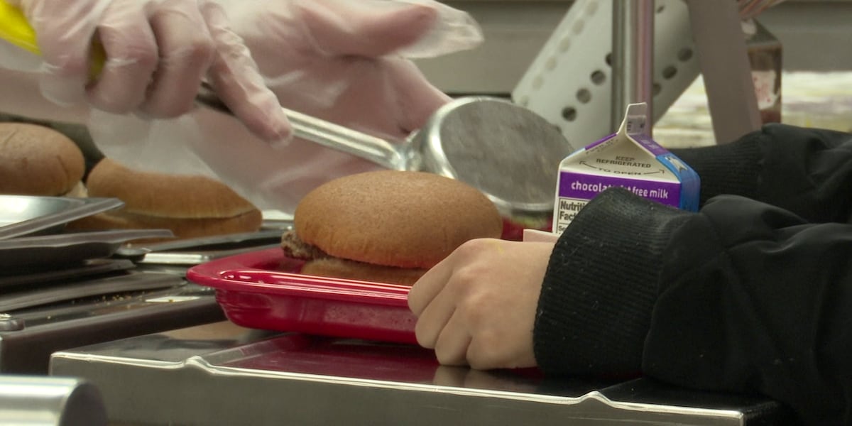 OpenAI to cover Effingham County student school meal costs with $4.8M grant
