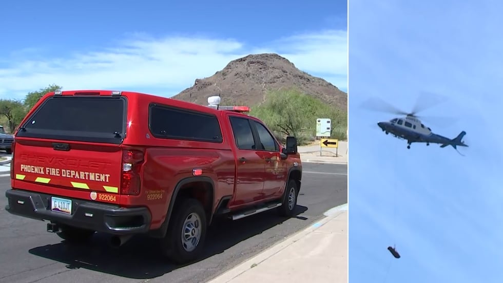 A hiker is in critical condition after being attacked by a swarm of bees on Lookout Mountain...