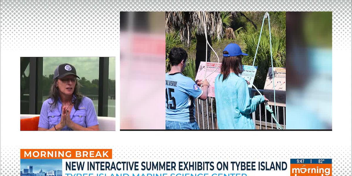 Tybee Marine Science Center introduces new exhibits