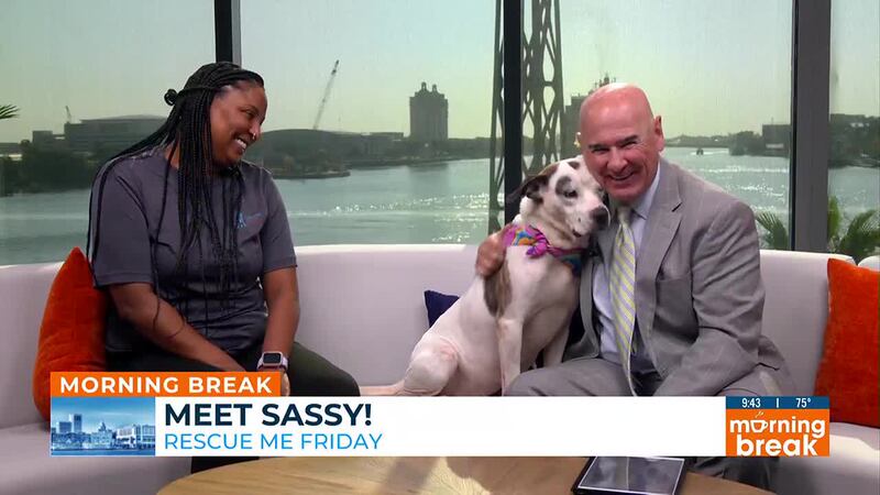 Rescue Me Friday: Meet Sassy!