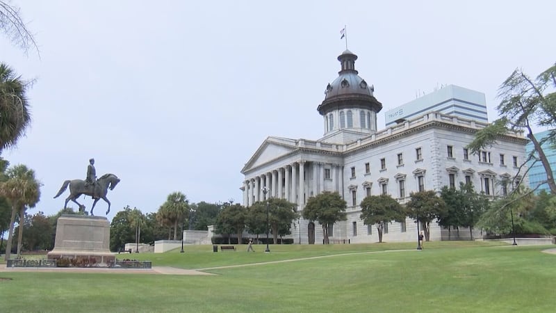 Voting rights groups, activists protest SC redistricting proposal amid ...