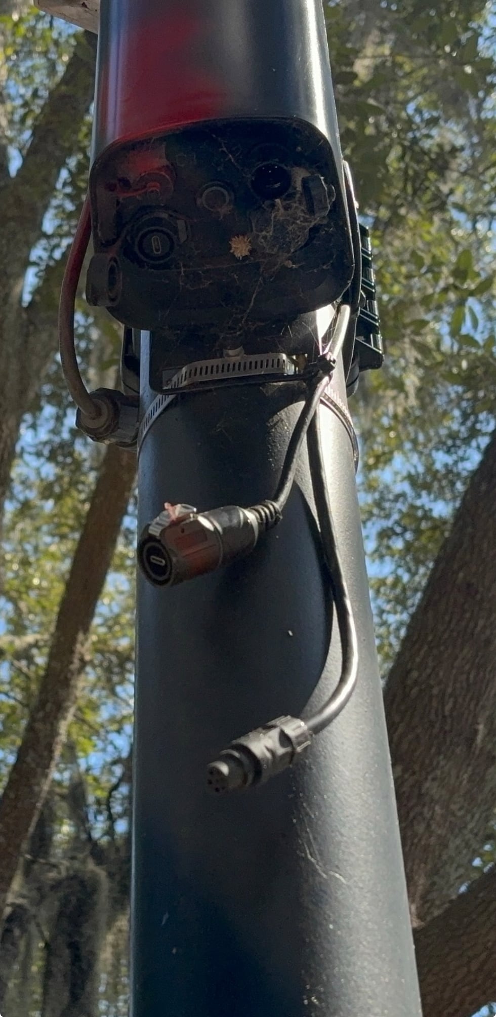 Flock camera in Forsyth Park