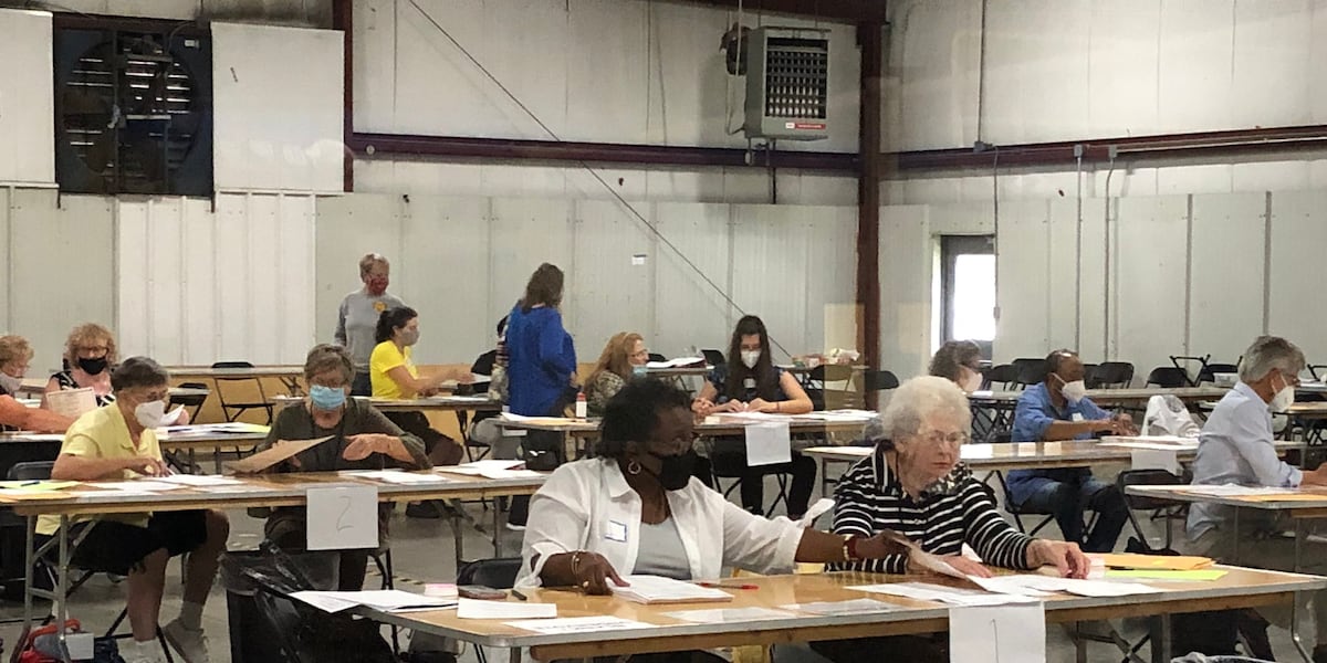 Hand Count Audit Hand-count audit of presidential race begins in Georgia