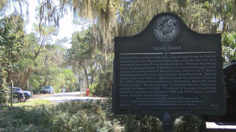 McIntosh County special election: Gullah Geechee community fights to ...