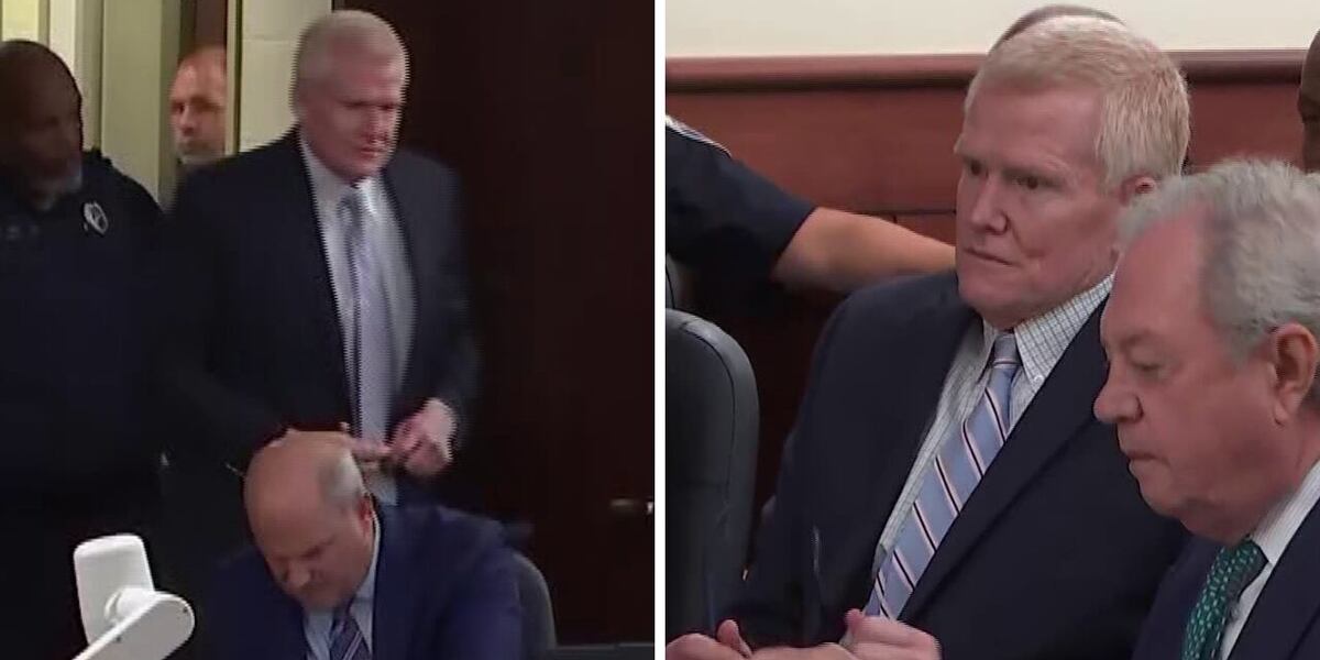 Alex Murdaugh Appears in Pretrial Hearing Without Shackles, dons Suit