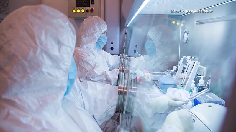 Russia has been tight-lipped about the death of a plague lab worker. (VK, DARYA SHIPILOVA,...